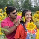 Audience Have Appreciated Saiya Super Star Films Pair Of Pawan Singh And Akshra Singh