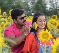 Audience Have Appreciated Saiya Super Star Films Pair Of Pawan Singh And Akshra Singh