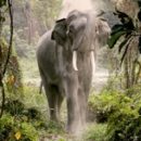 EPIC  India Ka Apna Infotainment  Celebrates India This World Heritage Day